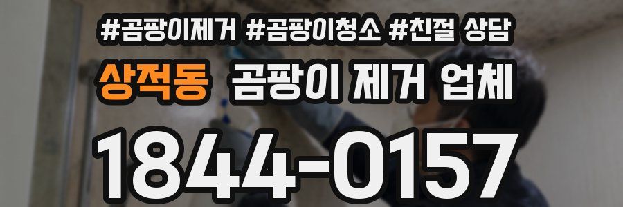 상적동 곰팡이 제거 업체