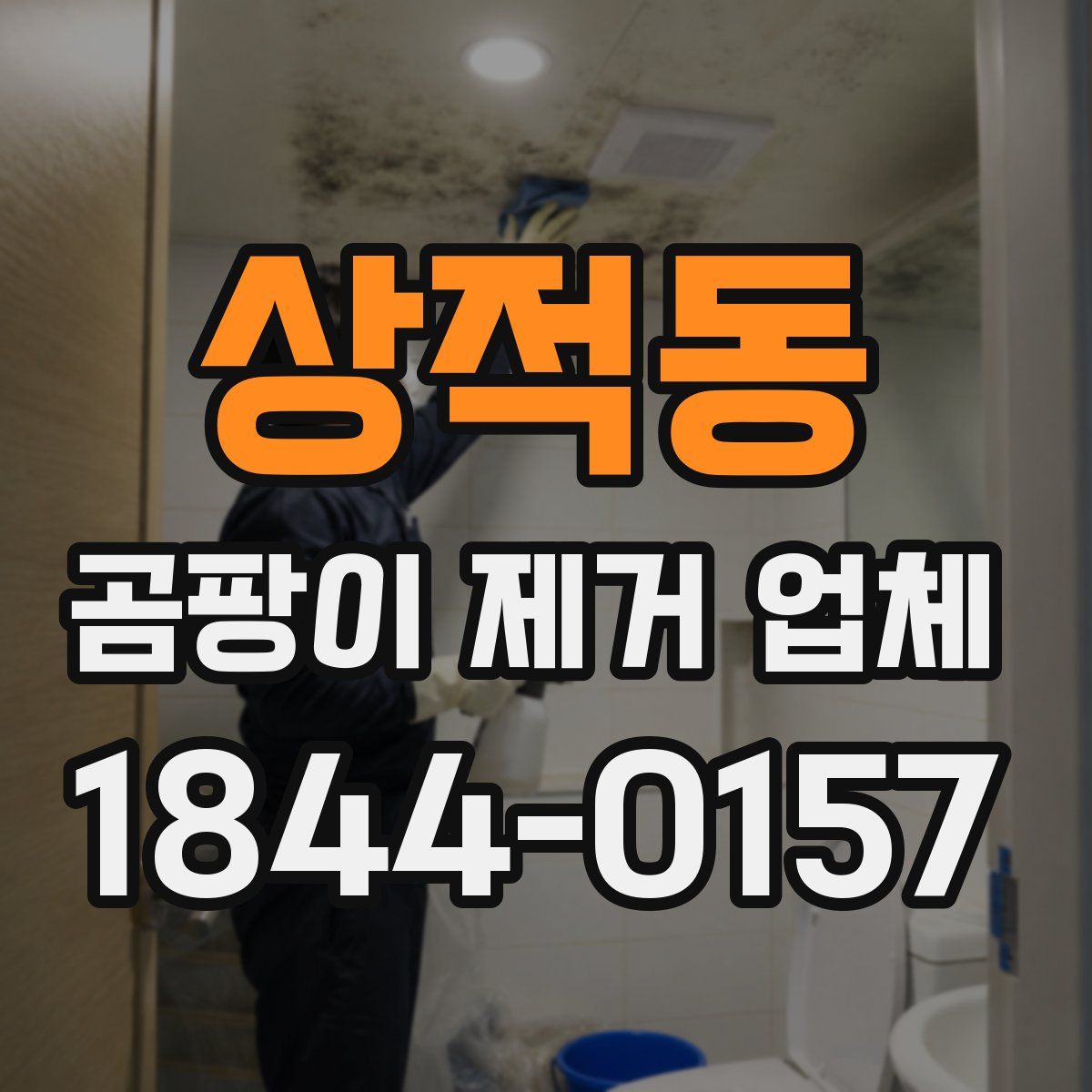 상적동 곰팡이 제거 업체