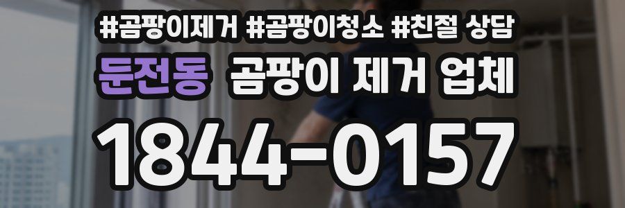 둔전동 곰팡이 제거 업체