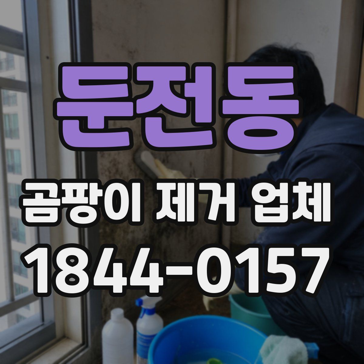 둔전동 곰팡이 제거 업체