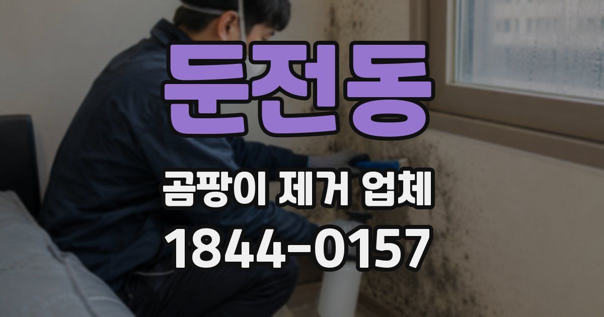 둔전동 곰팡이 제거 업체