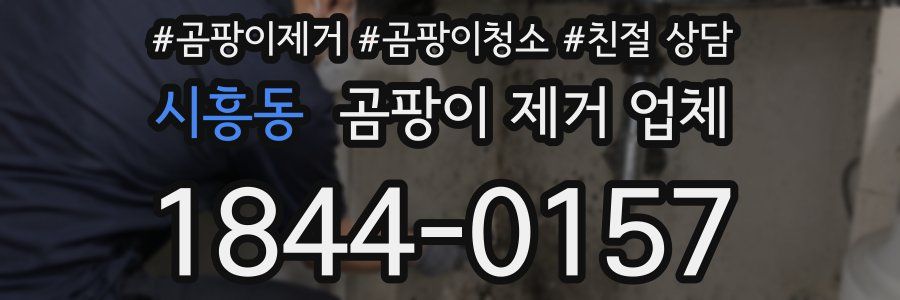 시흥동 곰팡이 제거 업체