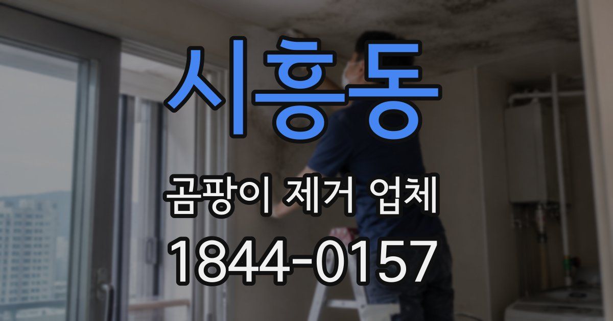 시흥동 곰팡이 제거 업체