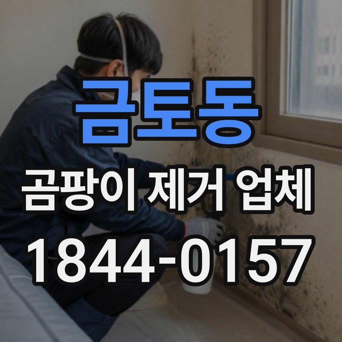 금토동 곰팡이 제거 업체 선택 전 알아볼 후기와 평판
