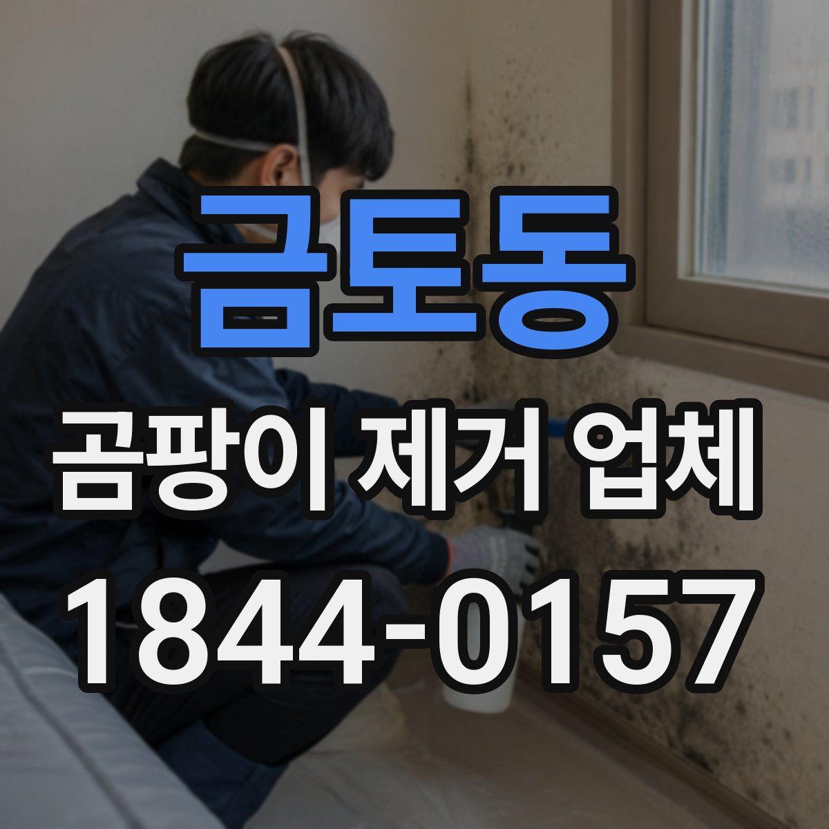 금토동 곰팡이 제거 업체