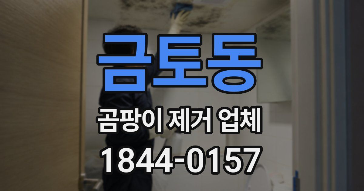 금토동 곰팡이 제거 업체