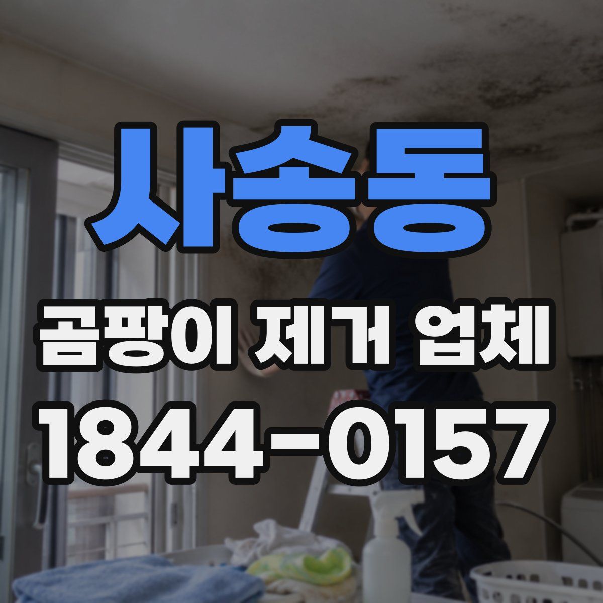 사송동 곰팡이 제거 업체