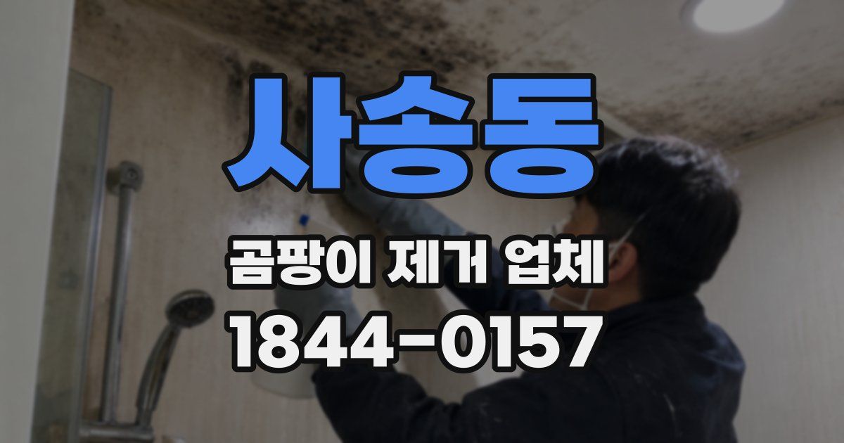 사송동 곰팡이 제거 업체