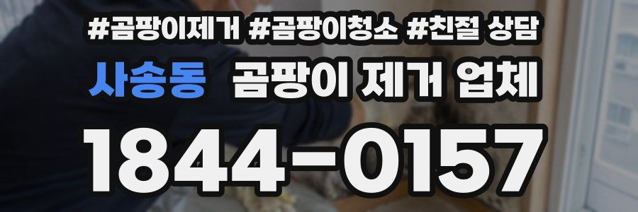 사송동 곰팡이 제거 업체
