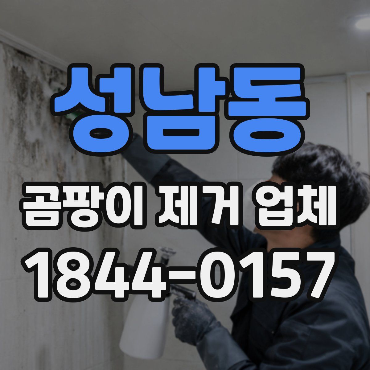 성남동 곰팡이 제거 업체