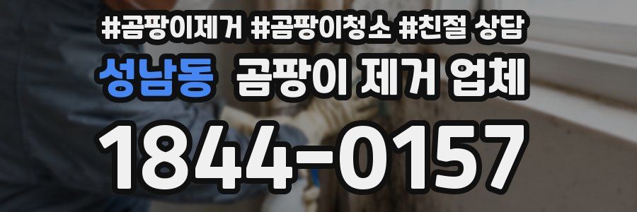 성남동 곰팡이 제거 업체