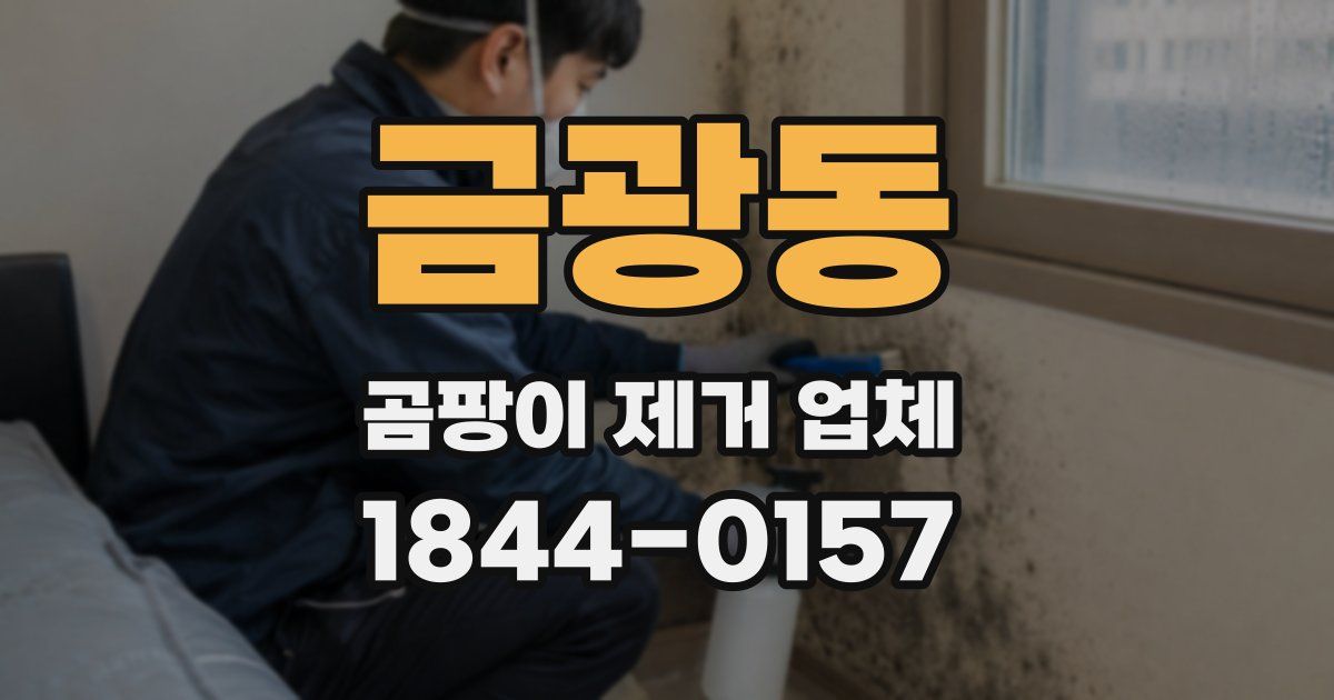 금광동 곰팡이 제거 업체