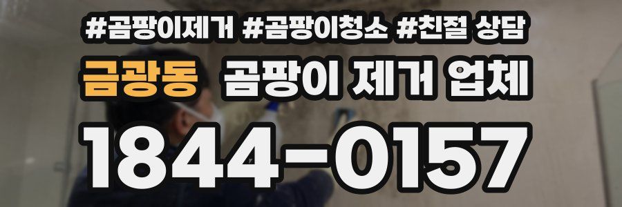 금광동 곰팡이 제거 업체