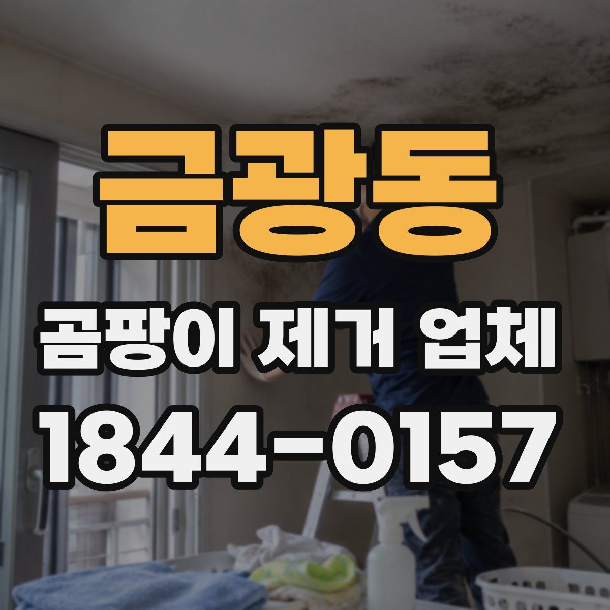금광동 곰팡이 제거 업체