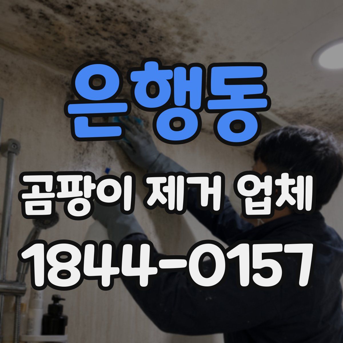 은행동 곰팡이 제거 업체