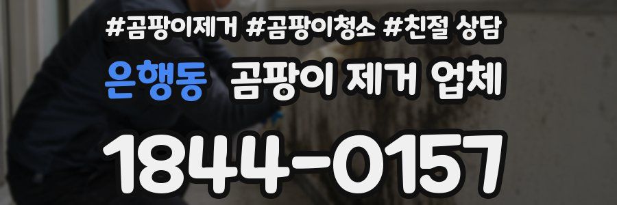 은행동 곰팡이 제거 업체