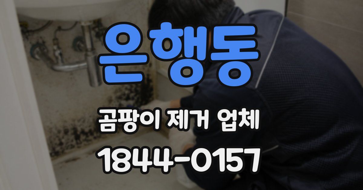 은행동 곰팡이 제거 업체