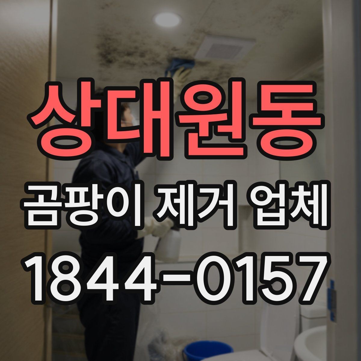 상대원동 곰팡이 제거 업체 후기 볼 때 체크할 항목
