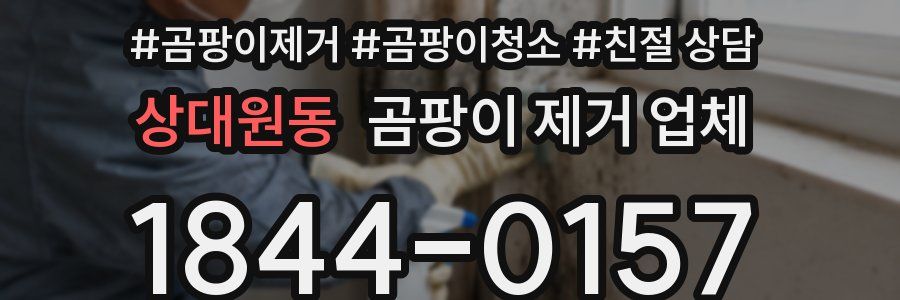 상대원동 곰팡이 제거 업체