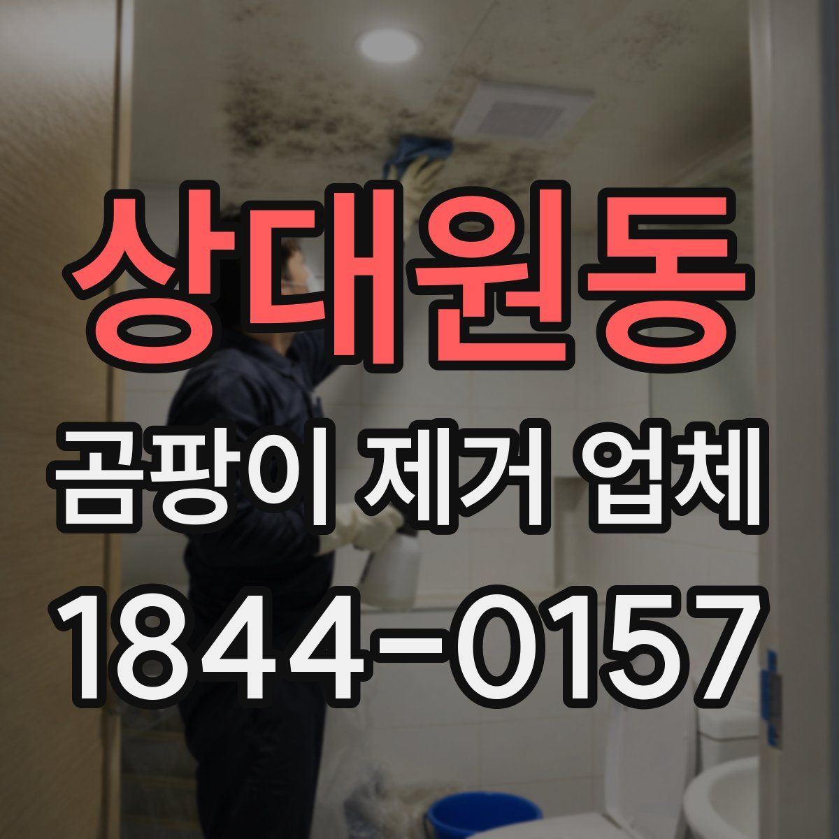 상대원동 곰팡이 제거 업체