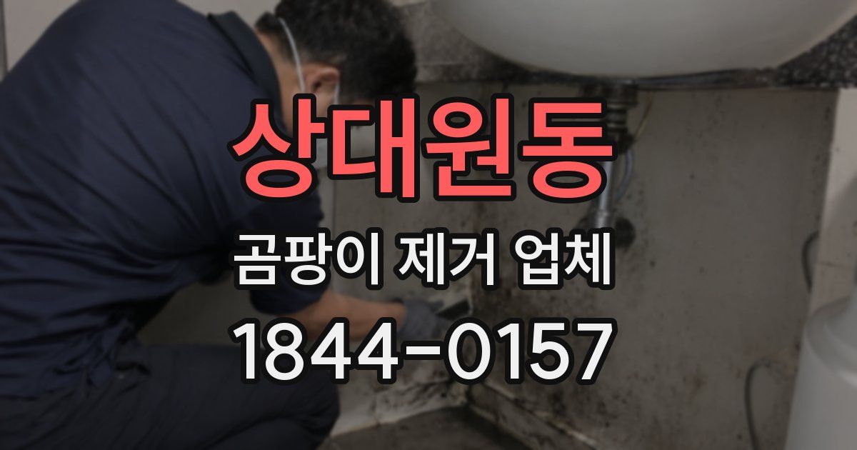 상대원동 곰팡이 제거 업체