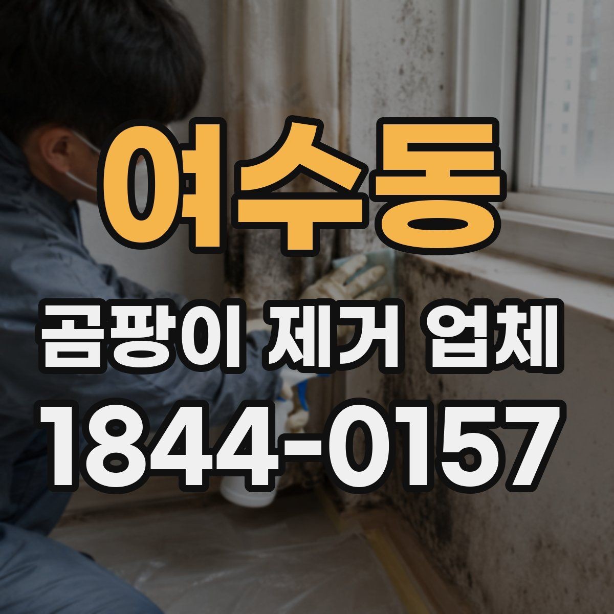 여수동 곰팡이 제거 업체 방문 전 공간 정리 방법