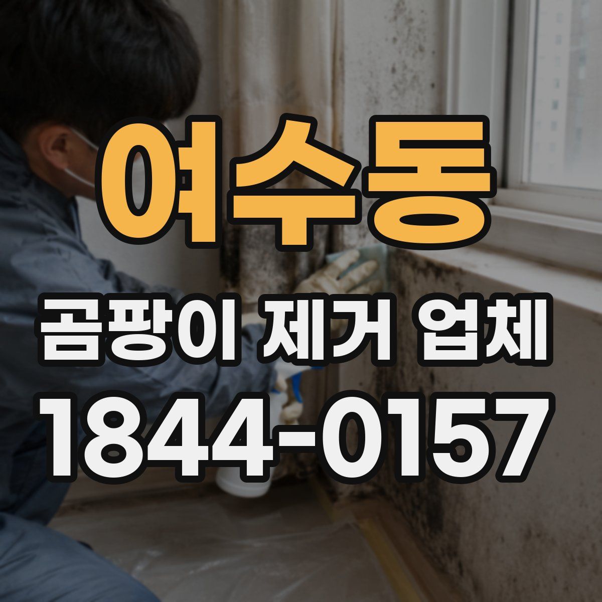 여수동 곰팡이 제거 업체