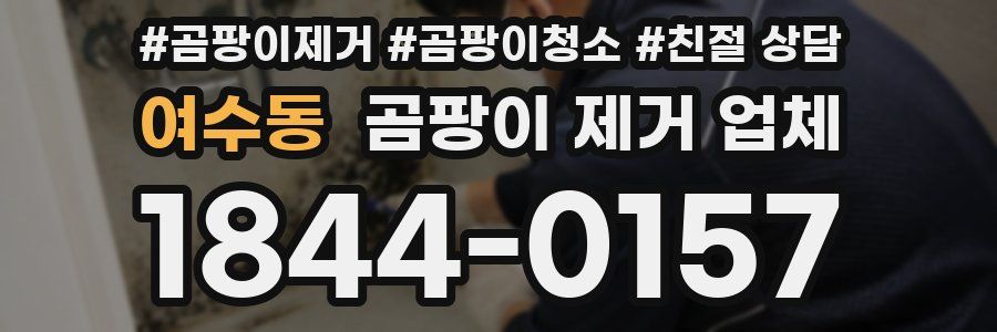 여수동 곰팡이 제거 업체