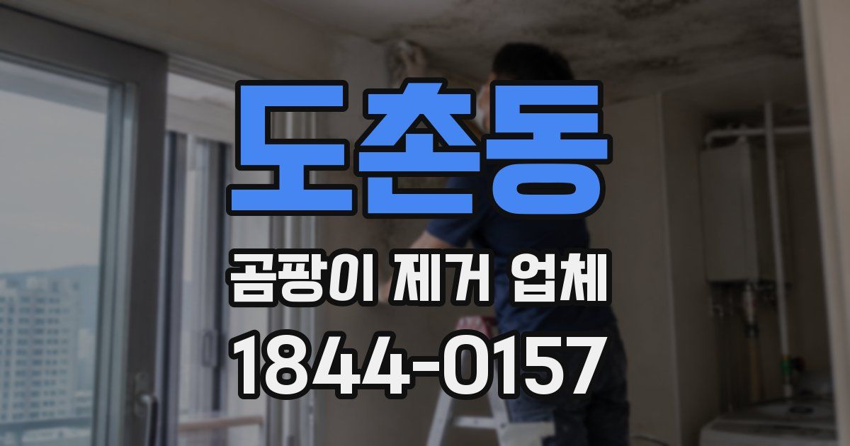 도촌동 곰팡이 제거 업체
