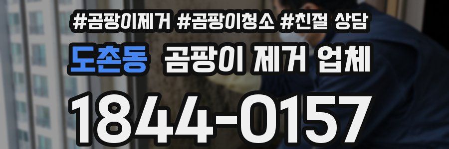 도촌동 곰팡이 제거 업체