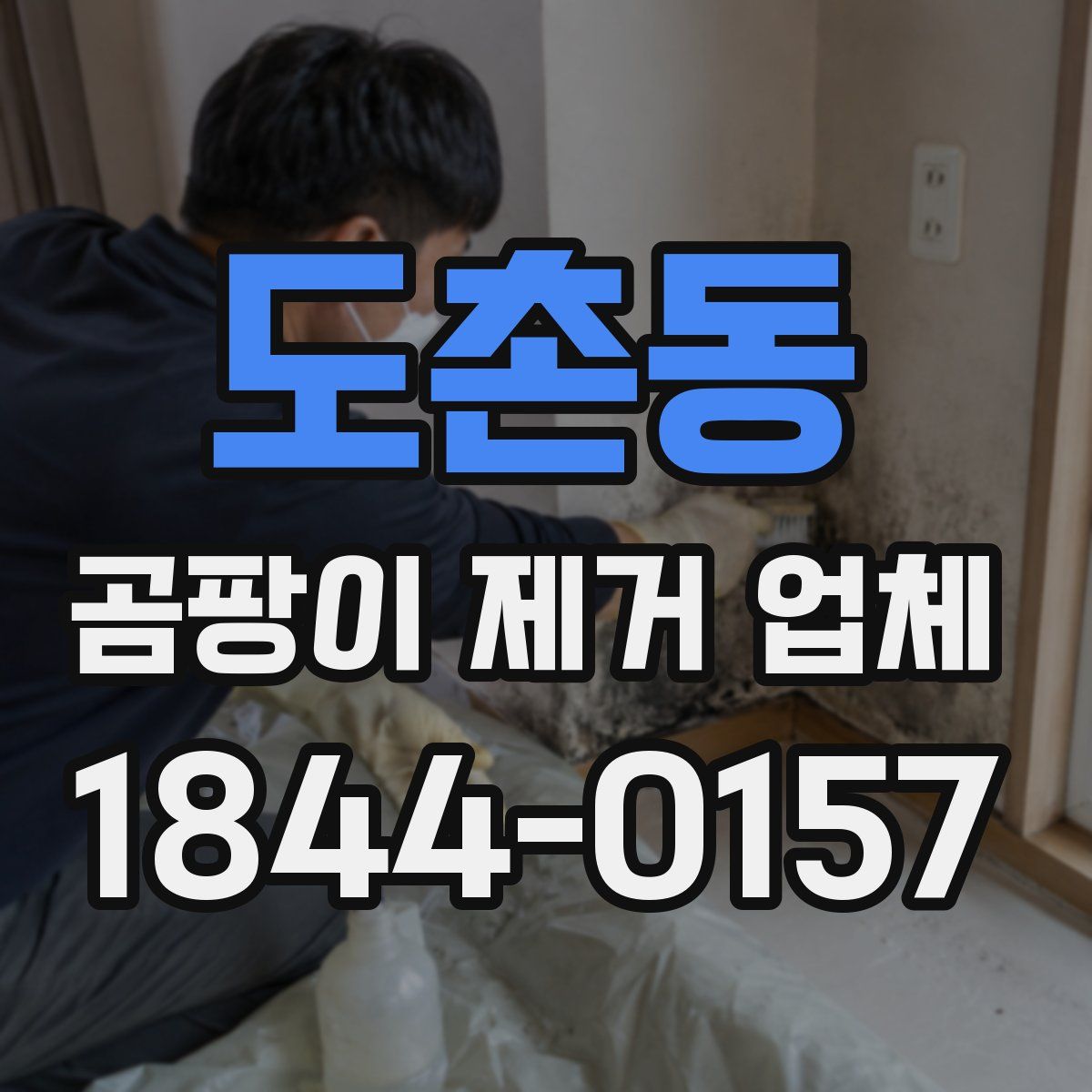 도촌동 곰팡이 제거 업체