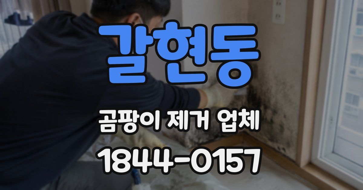 갈현동 곰팡이 제거 업체