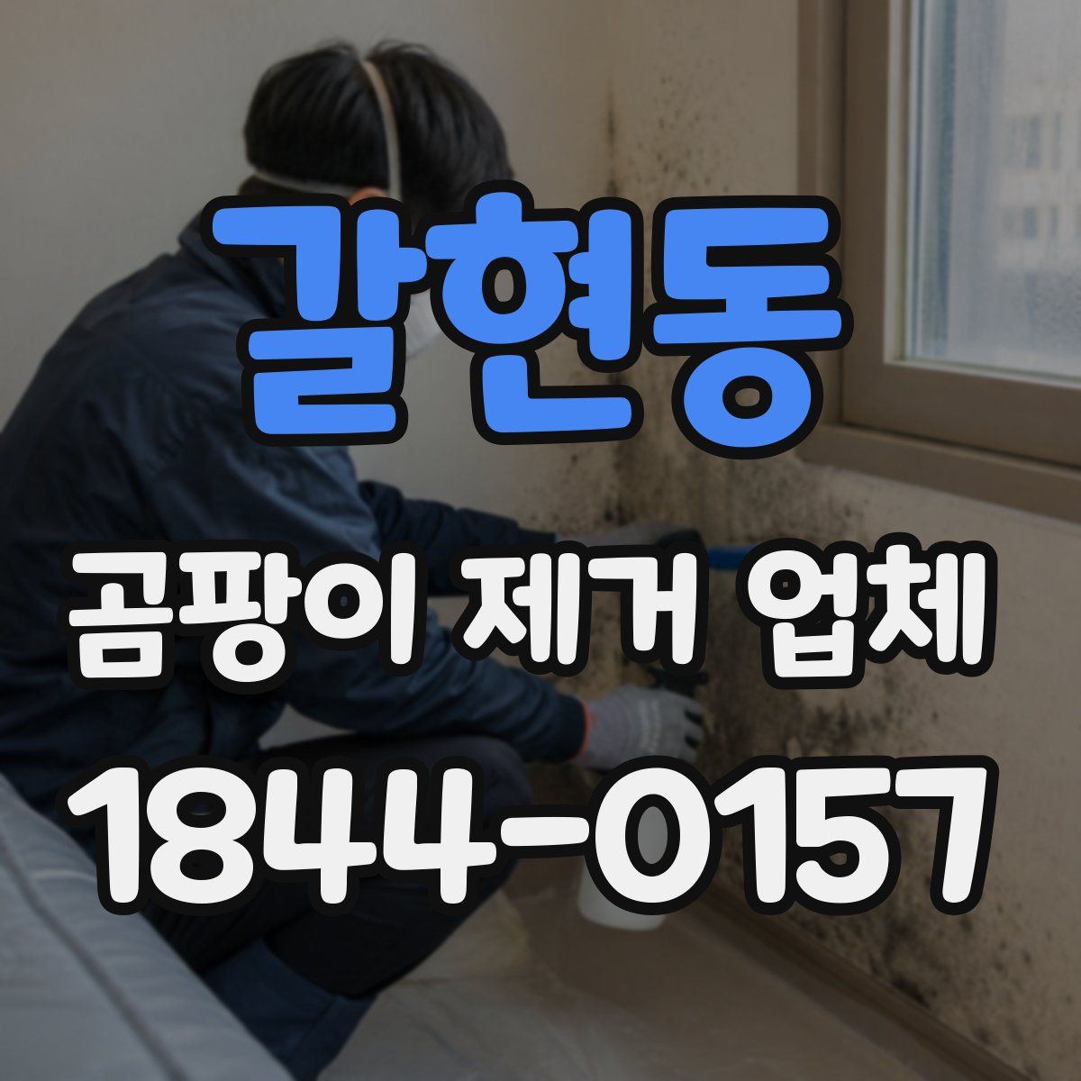 갈현동 곰팡이 제거 업체