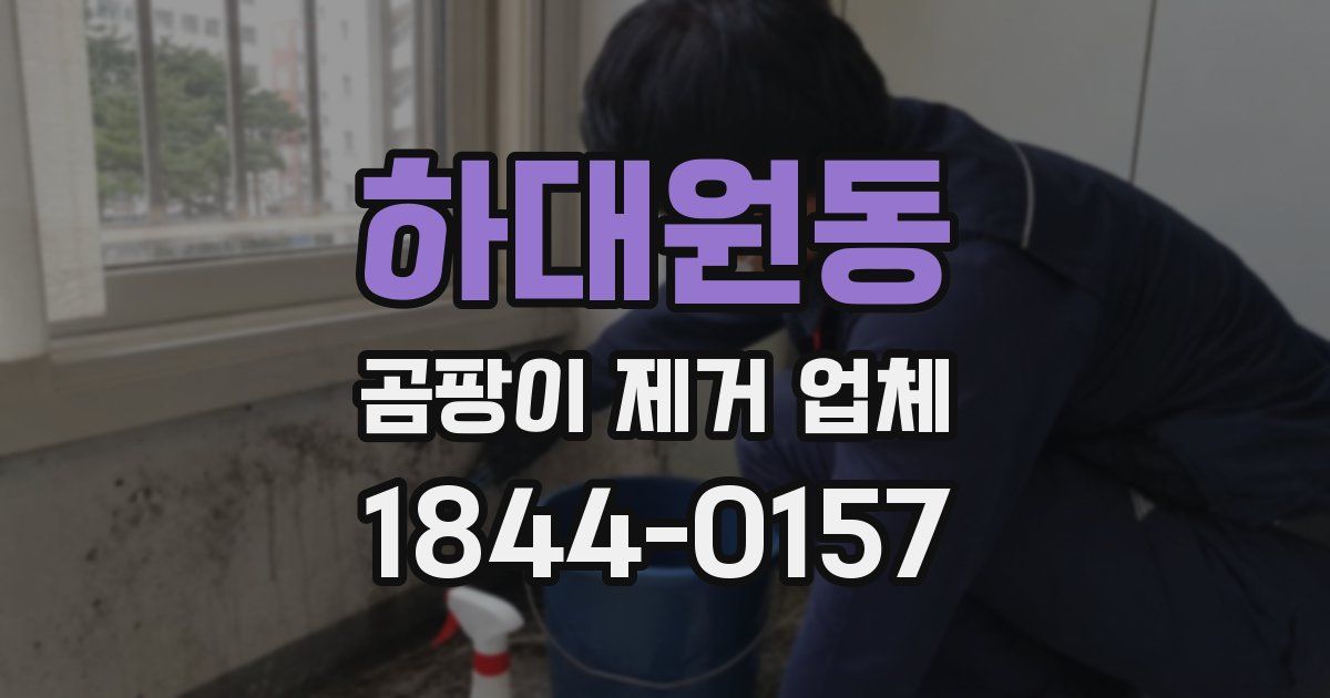 하대원동 곰팡이 제거 업체