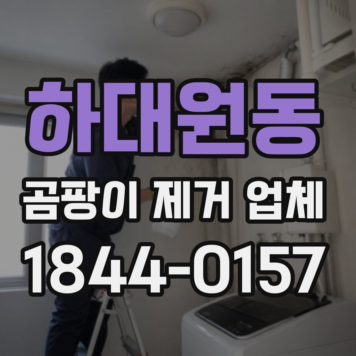 하대원동 곰팡이 제거 업체