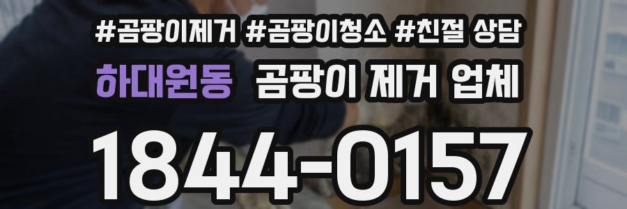 하대원동 곰팡이 제거 업체