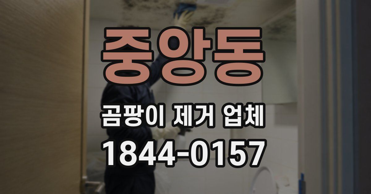 중앙동 곰팡이 제거 업체