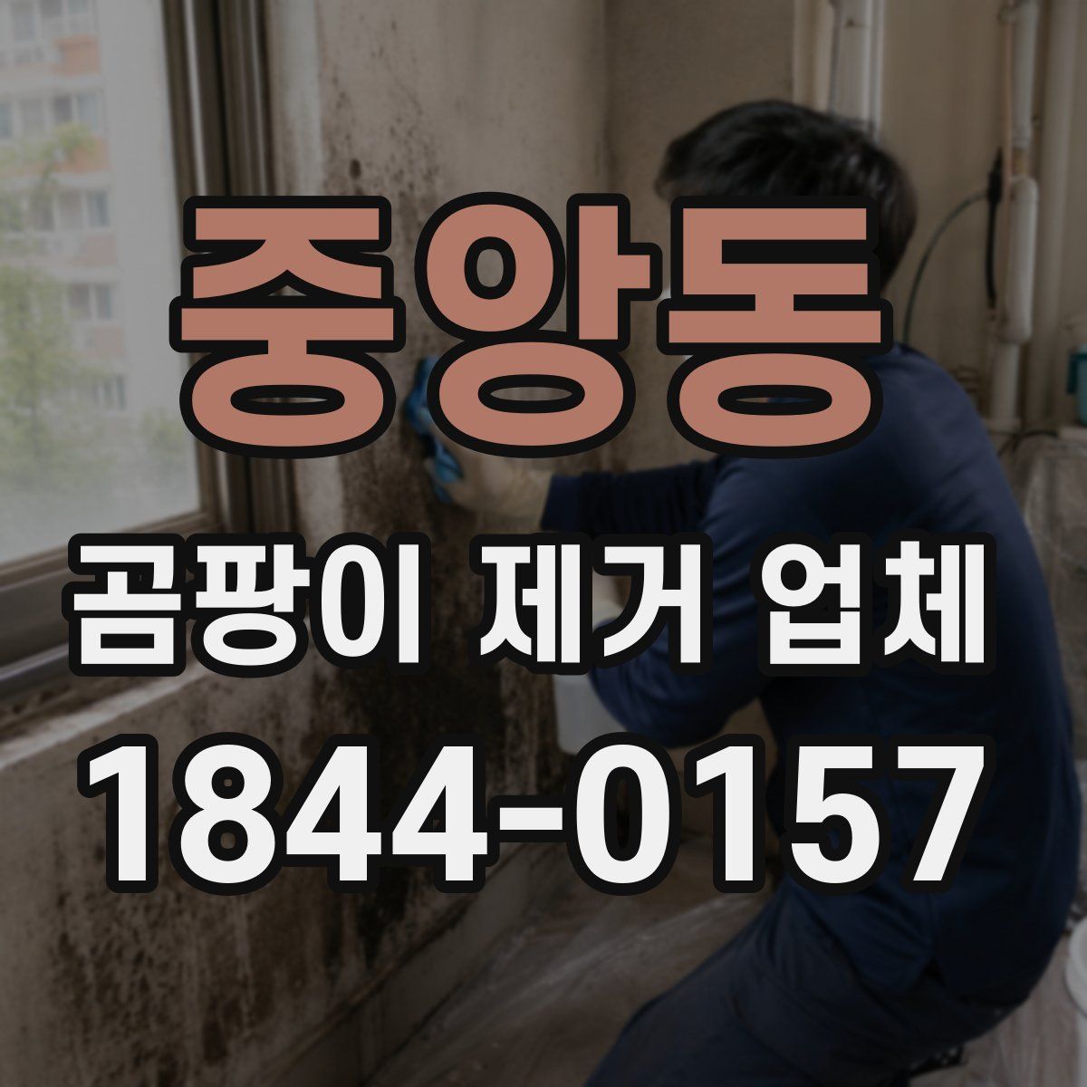 중앙동 곰팡이 제거 업체
