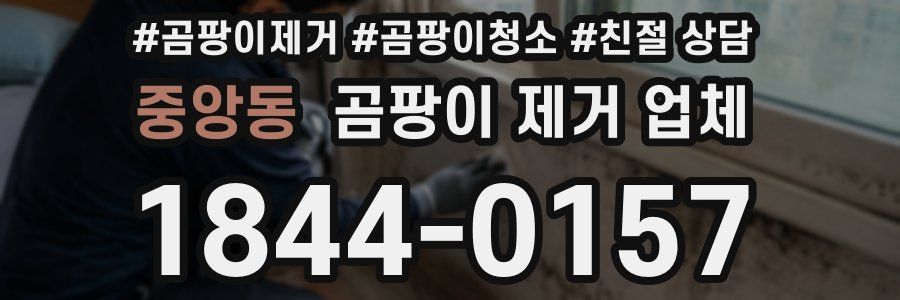 중앙동 곰팡이 제거 업체