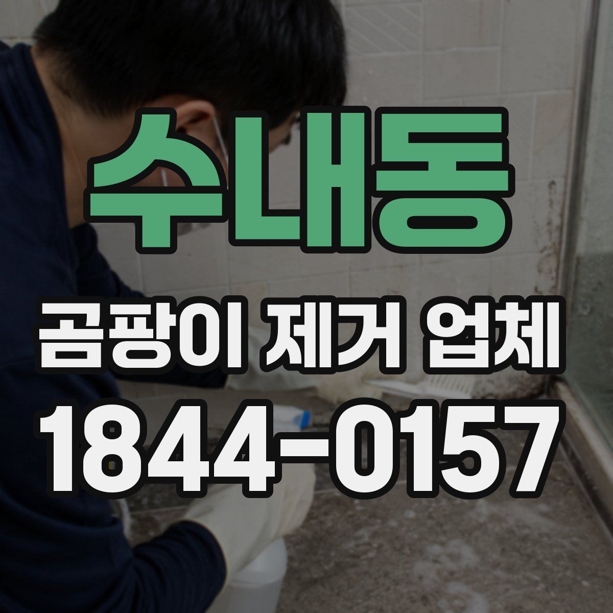 수내동 곰팡이 제거 업체