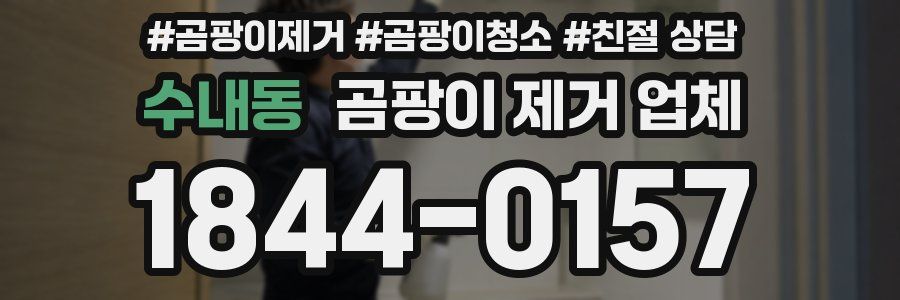 수내동 곰팡이 제거 업체