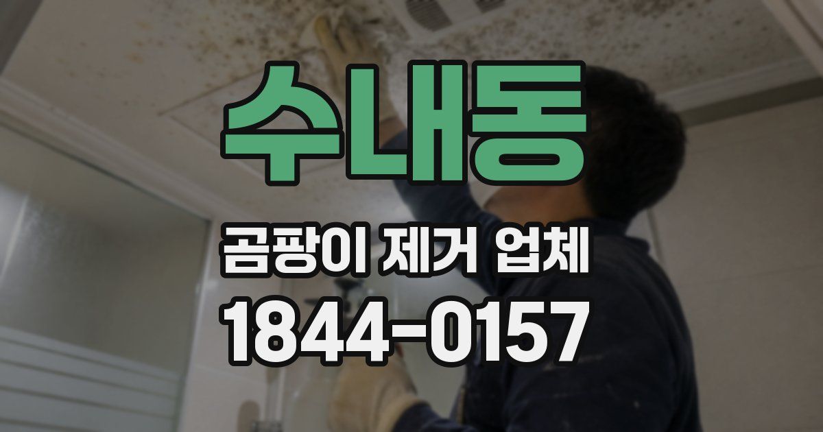 수내동 곰팡이 제거 업체