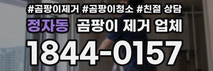 정자동 곰팡이 제거 업체