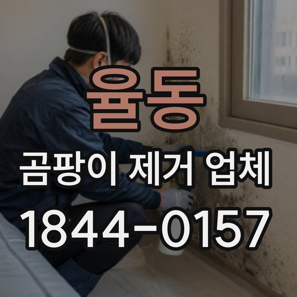 율동 곰팡이 제거 업체