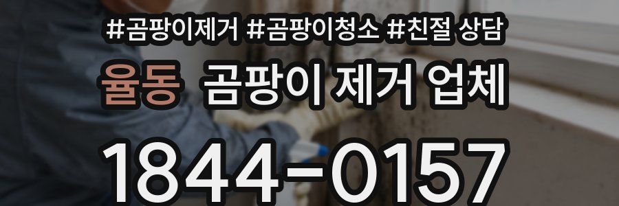 율동 곰팡이 제거 업체
