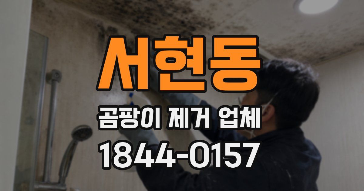 서현동 곰팡이 제거 업체
