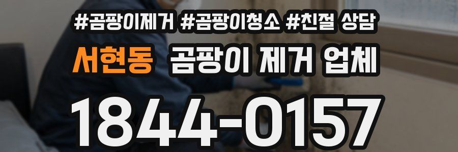 서현동 곰팡이 제거 업체