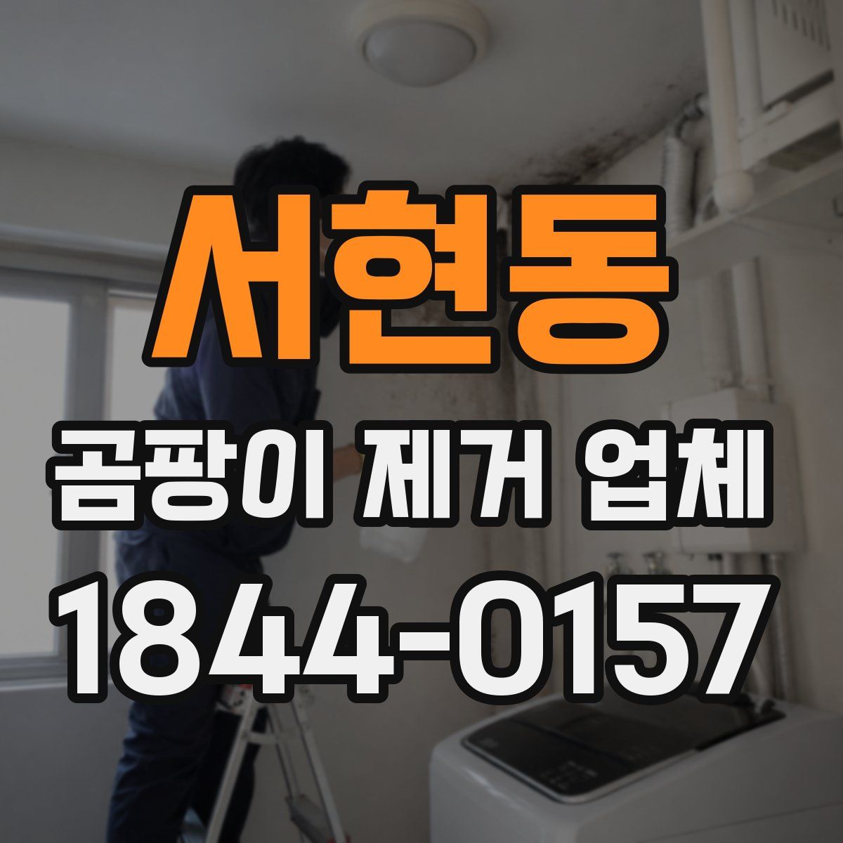서현동 곰팡이 제거 업체