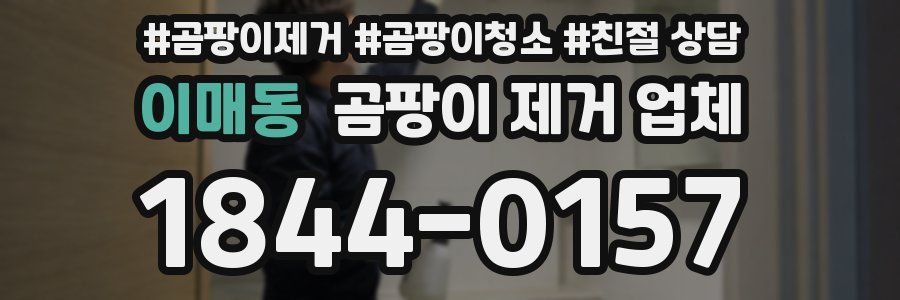이매동 곰팡이 제거 업체