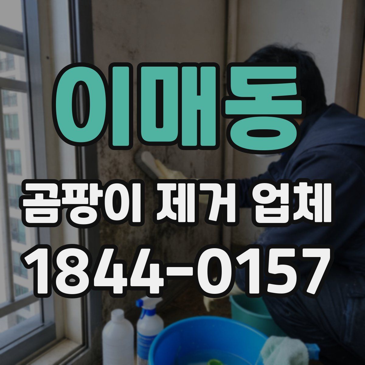이매동 곰팡이 제거 업체